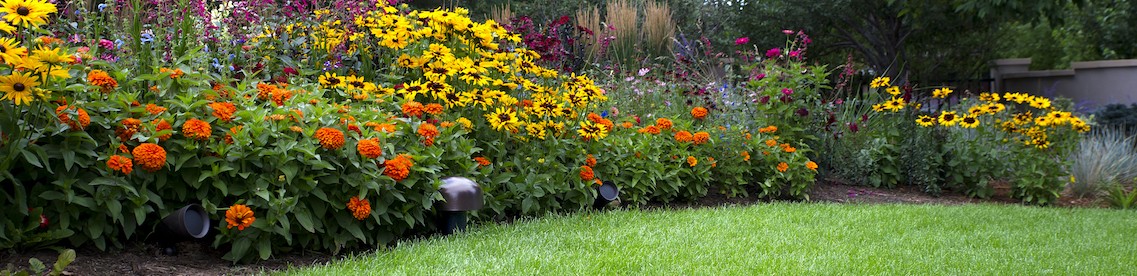 Sonance-Landscape-Speakers
